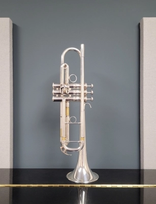 YAMAHA BAND - YTR9335CHS 2